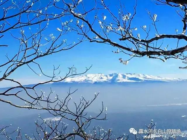 中国校服